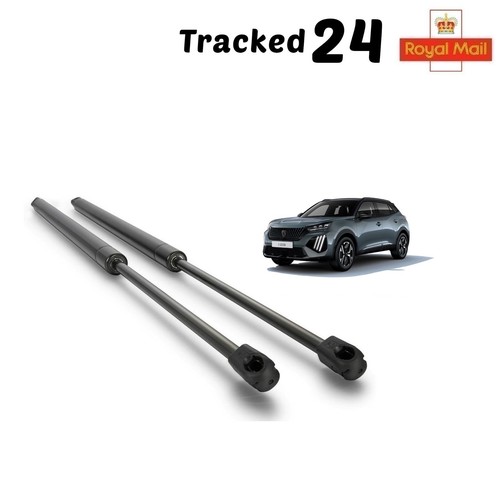 Rear tailgate boot gas - tailgate, struts