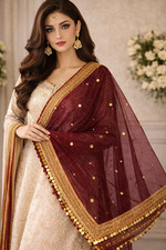 Net Dupatta with Sitara Lace