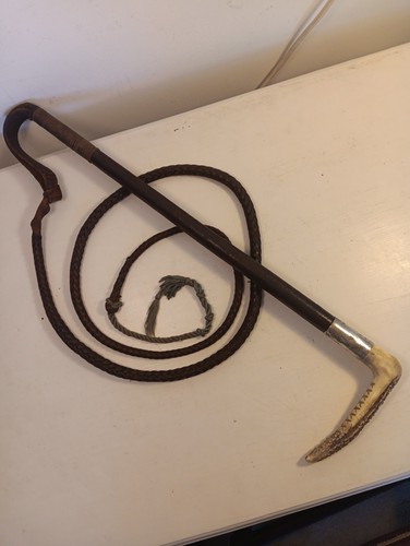 Antique stag antler - antique, 5'