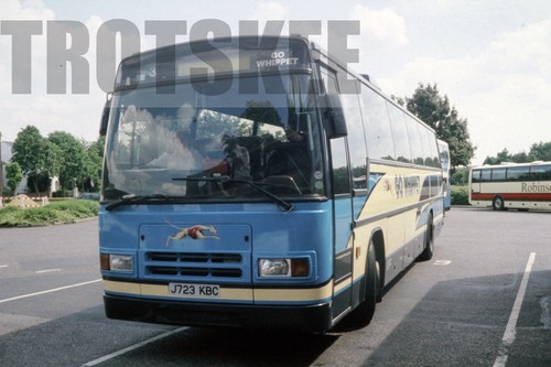 35mm colour slide whippet - slide,