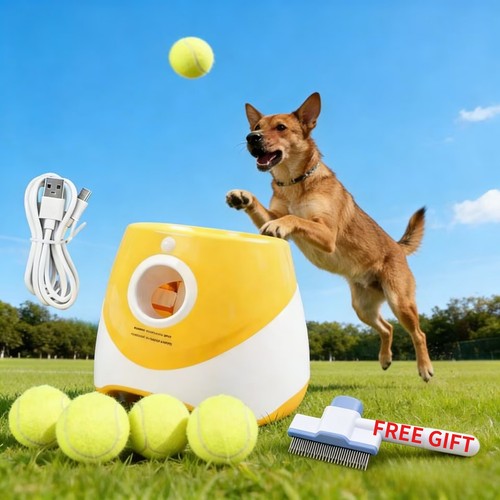 Dog ball throwing machine dogs - dog,