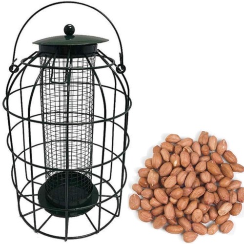 Bird peanut feeder - bird, squirrel