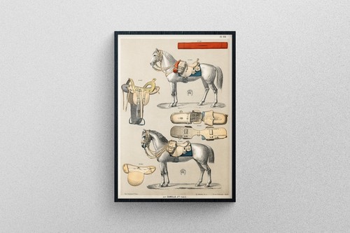 Antique illustration a - antique,