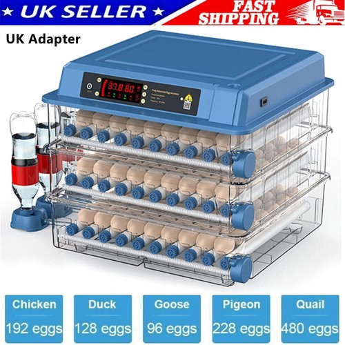 192 eggs incubator - 192,