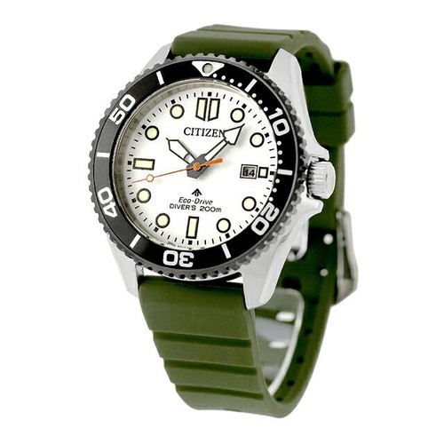 New citizen promaster - new,