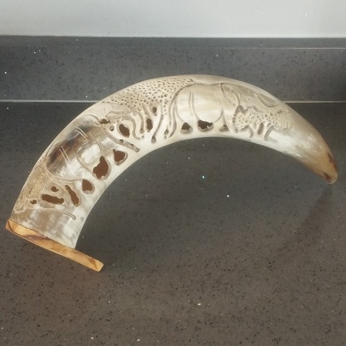 Water buffalo horn - mounted, on