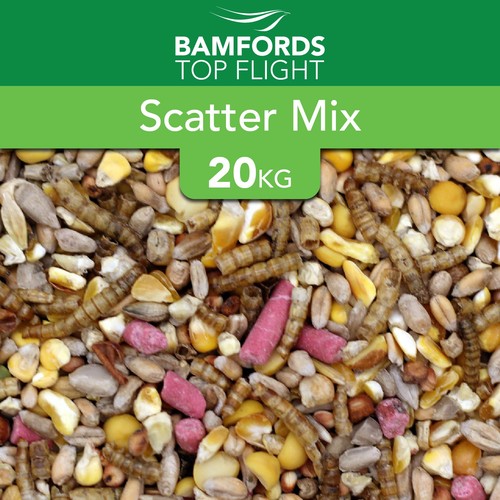 Bamfords value large - wild, bird