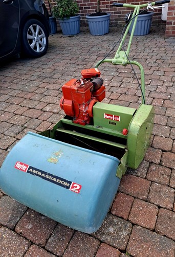 Hayter ambassador - 2.0,