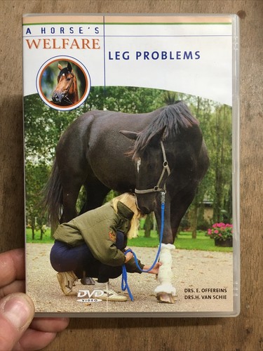 Horse welfare leg - welfare,
