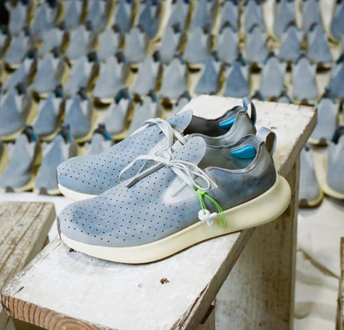 Native shoes apollo whr - apollo,