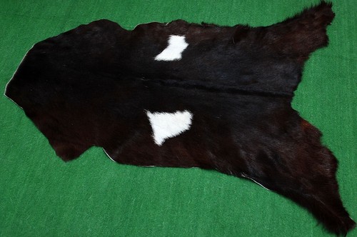 Genuine goat hide - goat,