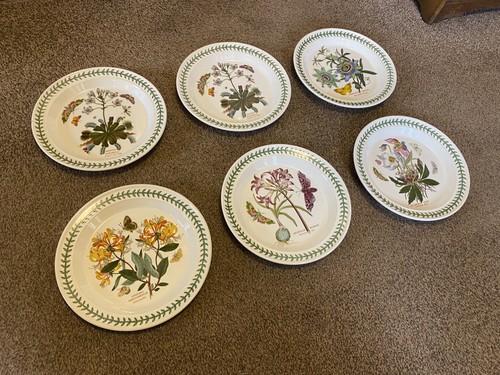 Six portmeirion dinner plates - six,