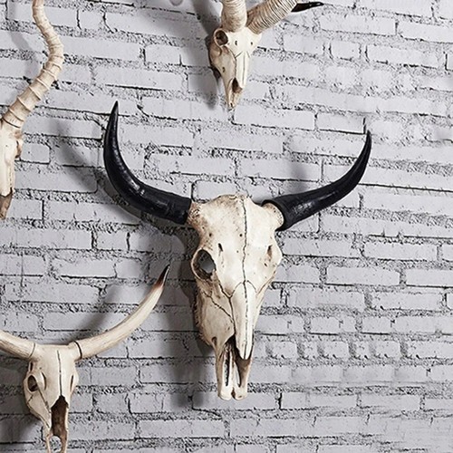 Bull horns wall head - wall, mount