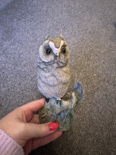Teviotdale scotland owl - teviotdale,