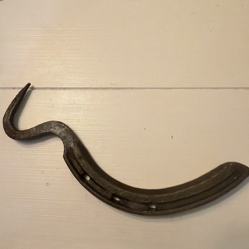 Horse shoe hoof - horse, hand