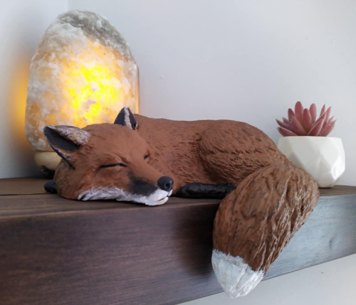 Sleeping fox shelf sleeper - sleeping,