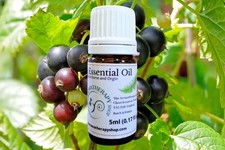 Blackcurrant Bud Pure