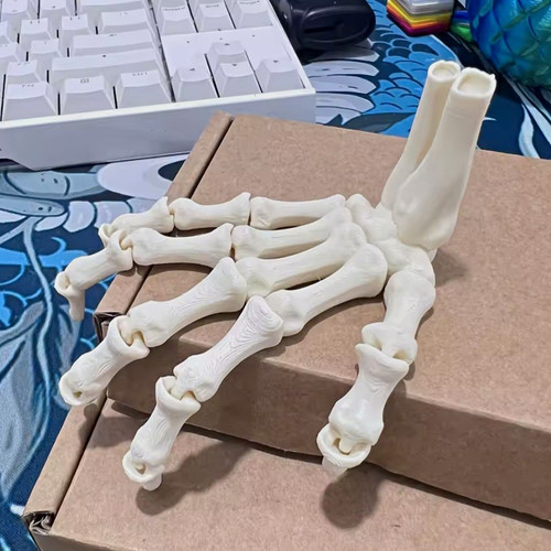 Anatomical human hand - anatomical, skeleton
