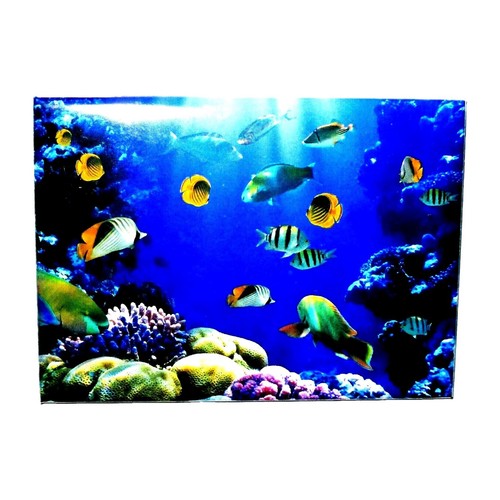 Fish sea fridge magnet - fridge,