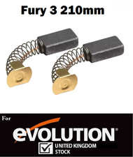 Carbon Brushes For Evolution