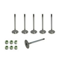 Intake Valve Set + Stem Gasket