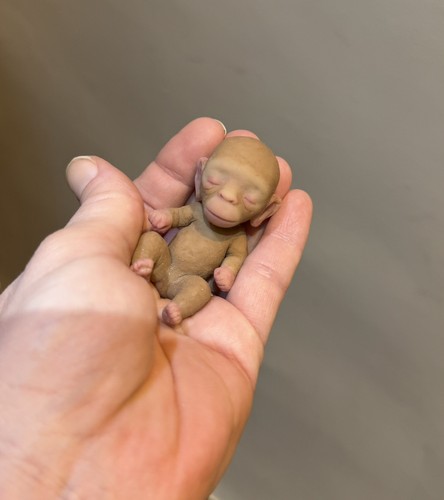 Silicone baby monkey - monkey, reborn