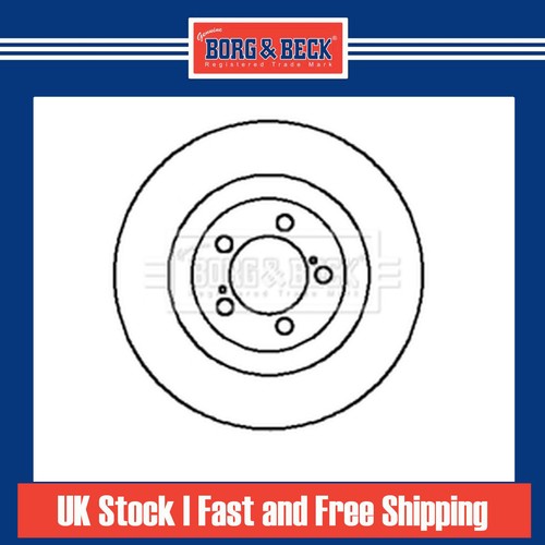 Brake discs pair - discs, for