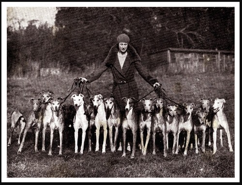 Greyhound lady and - greyhound,