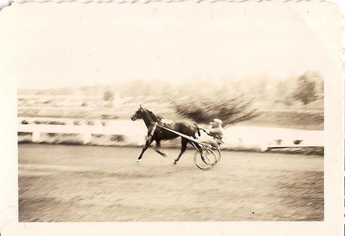 Man behind horse track - man,