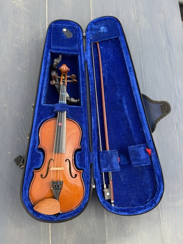 Size stentor student 1 - stentor,