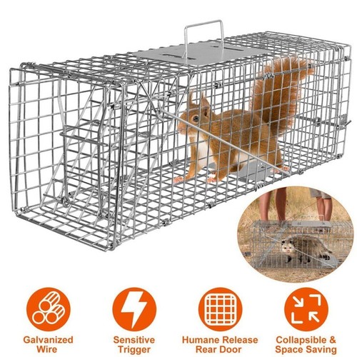 Squirrel trap heavy - heavy, duty