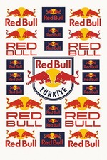 REDBULL Reflective Motorcycle