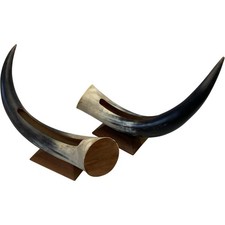 Vintage Decorative Bull Horn