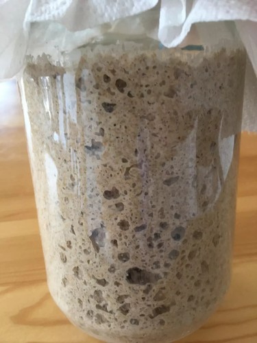 Fresh mature sourdough - fresh,