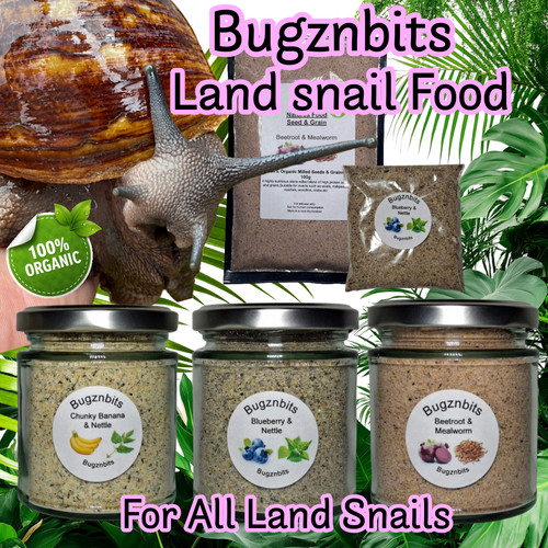 Organic snail food - organic,
