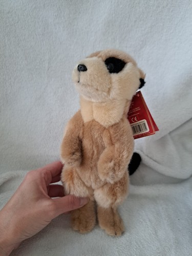 Small meerkat stuffed toy - small,