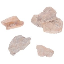 5 Pcs Terrarium Decor