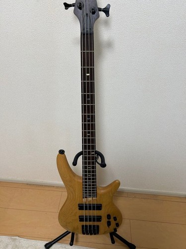 Ibanez sdgr electric - electric, bass