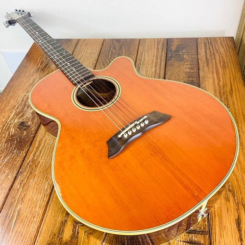 Takamine 106 electro - takamine,