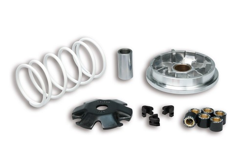Malossi 5115209 variator - malossi,