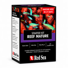 Red sea reef - sea, mature