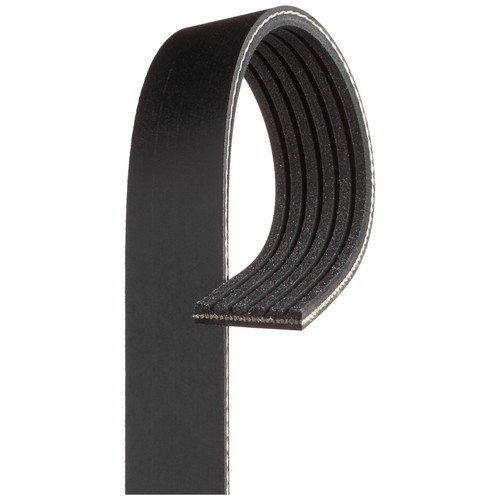Rib multi drive belt for - 6,