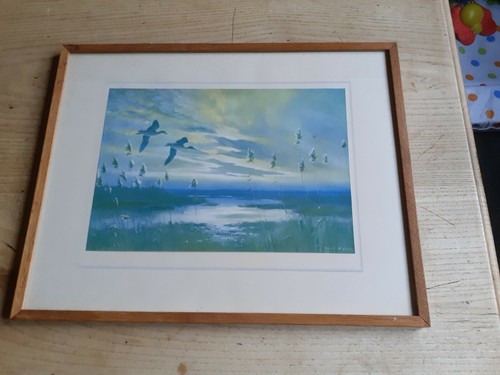 Peter scott print 1940 - peter, geese