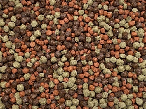 Abf color grow - cichlid, food