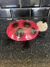 Twilight Ladybug Star