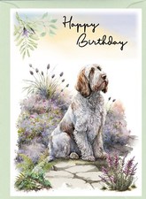 Italian Spinone Dog (4"x 6") Birthday Card - blank inside -Starprint