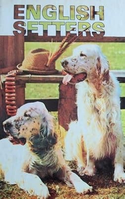 English setters pisano - english, setters,