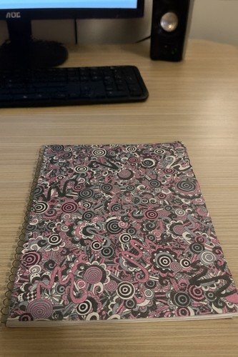 School spiral notebook 80 - school,