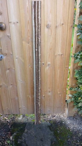 Hazel walking stick shanks - hazel,