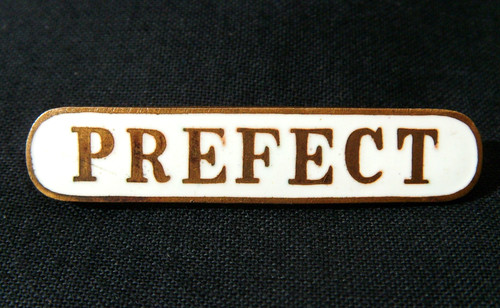 Vintage prefect school - school, pin